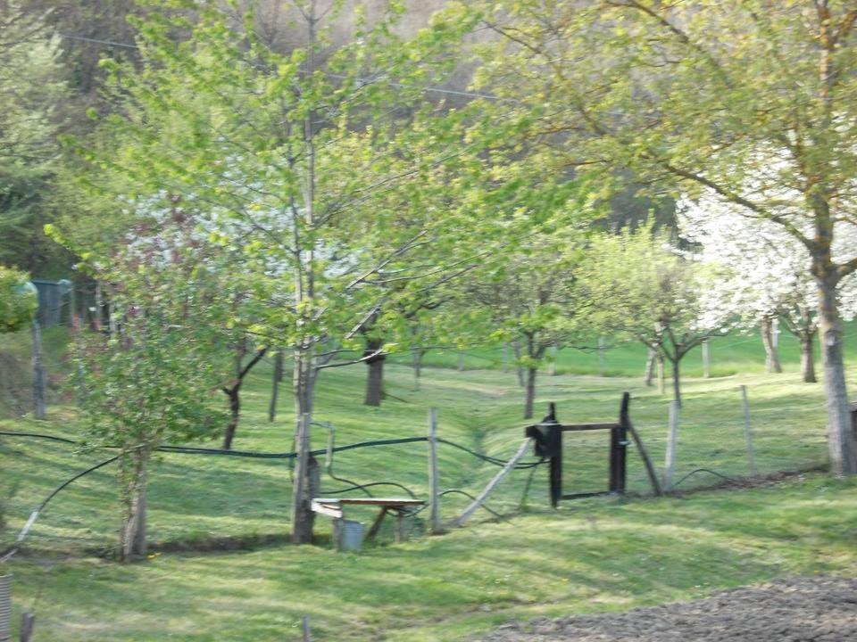 Casa Molinari Villa San Martino  Екстериор снимка